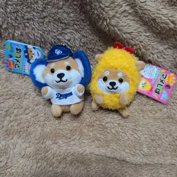 여행하는 마메시바 나고야 세트