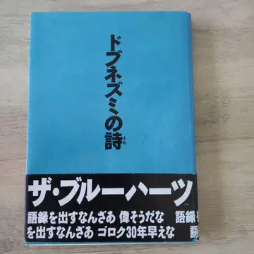 도랑쥐의 시 더 블루하츠