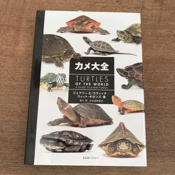 카메 대전 Turtles of the World