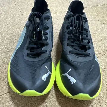 푸마 디비에이트 나이트로 엘리트 25.5cm