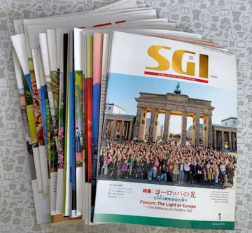 그래프 SGI