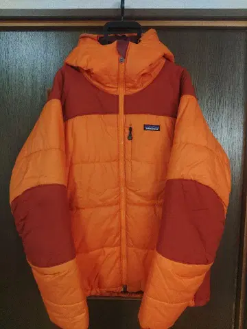 파타고니아 다스 후드티
