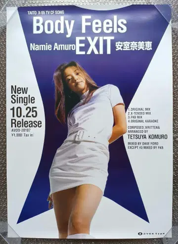 Body Feels EXIT 아무로 나미에 포스터