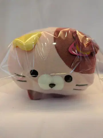 모찌후와! 코로코로 냥코 고구마 냥