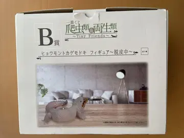 레오파드 게코 피규어 B상
