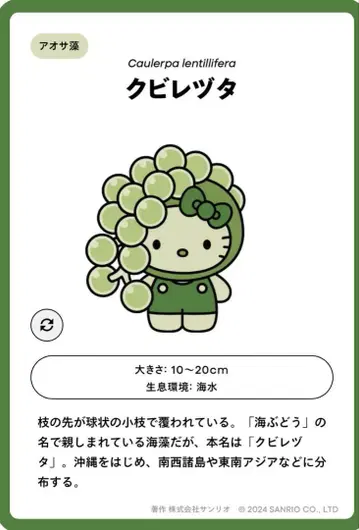 헬로키티 꼬인 덩굴 Algae x 헬로키티 핀 배지