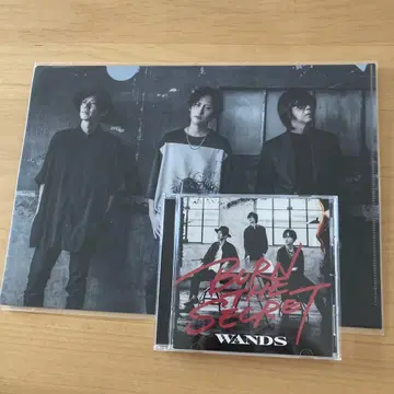 WANDS BURN THE SECRET CD 클리어 파일 포함