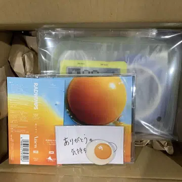 아뉴 한정판