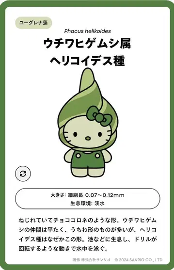 만박 일본관 헬로키티 조개핀 배지 헤리코이데스