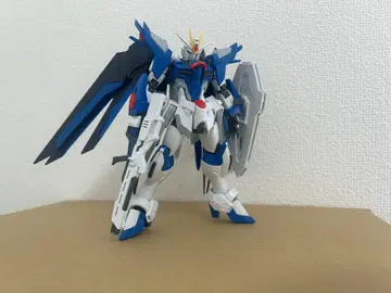 hg 라이징 프리덤 건담 정크
