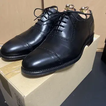조셉 치니 페니 체리 쿼터 브로그 블랙
