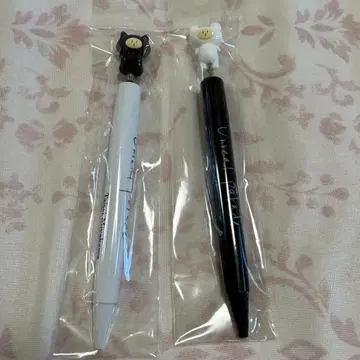미야가와 타이세이 볼펜