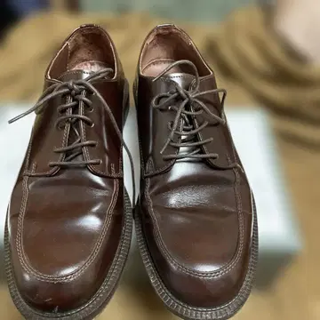 verocuoio 브라운 레이스업 슈즈
