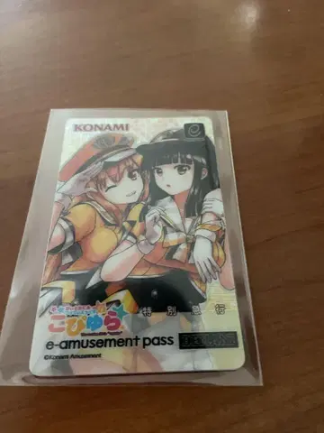 e-amusement pass 코피라