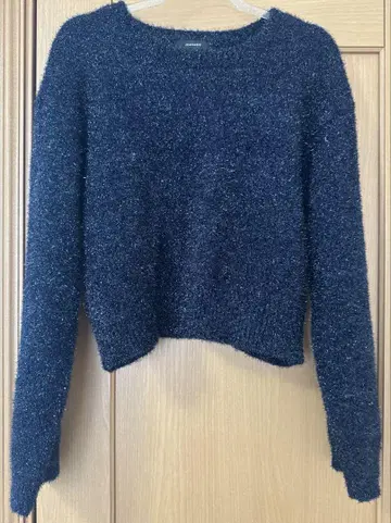 새상품급 JEANASIS 글리터 필름 라메 니트 네이비 FREE SIZE