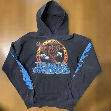 HARLEY DAVIDSON 이글 프레임스 레어 USA