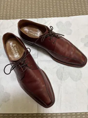 SCOTCH GRAIN 투심 브라처 슈즈