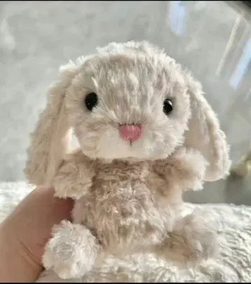 Jellycat 베이지 토끼 봉제 인형 4개