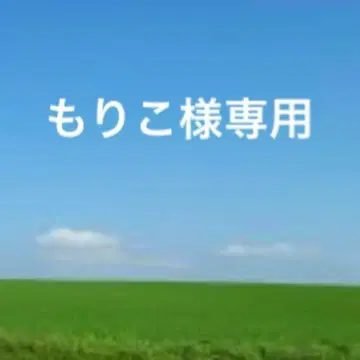 미사용 agnes b. 에네스베 가죽 접이식 지갑 민트 블루