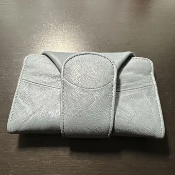 히로코 하야시 미니모