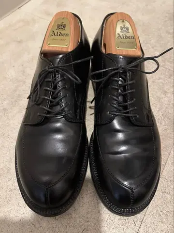 알든 V 칩 54331 코도반 블랙