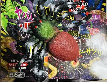 다카라지마사 늘어나는 위험한 리얼 위험 생물 거미