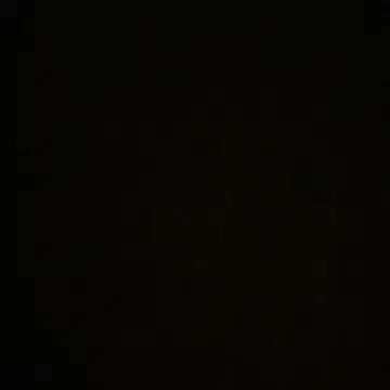 T셔츠
