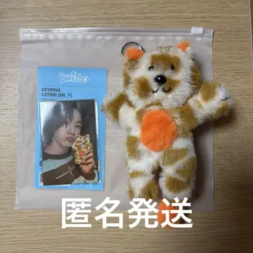 BOYNEXTDOOR 보이넥 프넥도 성호 봉제 인형 키링