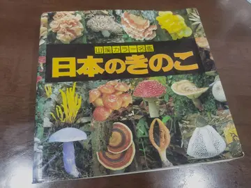 일본의 버섯 이마세키 로쿠야 외 2명 일본의 버섯 (산계 컬러 명감)