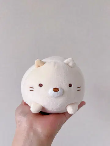 스미코구라시 고양이 봉제 인형