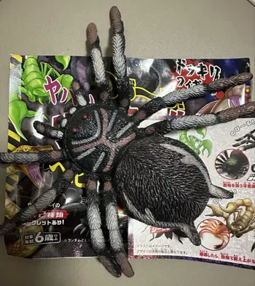 다카라지마사 늘어나는 위험한 리얼 위험 생물 거미