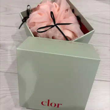 clor RIBBON ORGANZA SCRUNCHIE