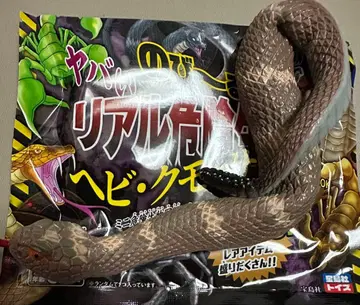 타카라지마사 늘어나는 위험한 리얼 위험 생물 리얼 뱀 브라운 그레이