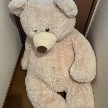 코스트코 큰 곰 봉제 인형