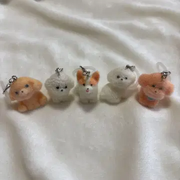 모코푸와 메지루시 액세서리 컴플리트 세트