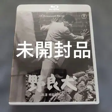 4K 마스터판 노견 블루레이