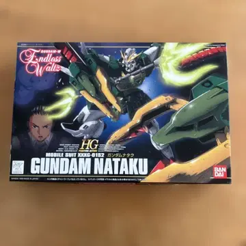 W-GUNDAM HG 1/144 건담 나탁