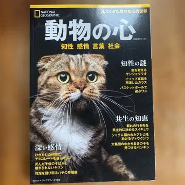동물의 마음 내셔널지오그래픽사