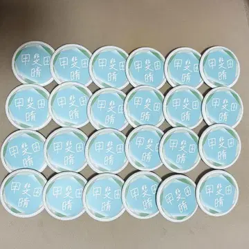 카이다 하루 7주년 캔뱃지