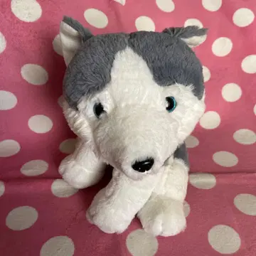 허스키 봉제 인형 택 포함