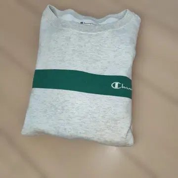 Champion L 사이즈 그레이 트레이닝복
