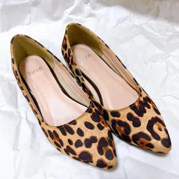 [새상품급] Juze 여성용 레오파드 펌프스 23.5~24cm 정도