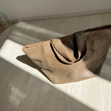 요건 레일 메쉬 토트백