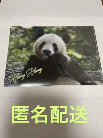 샹샹 클리어 파일 마츠자카야 A5판