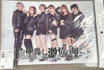 신시 울려 퍼지다, 격정처럼. 클리어 파일 6장 세트 신격