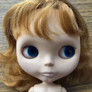 네오 브라이스 초기 브라이스 코지 케이프
