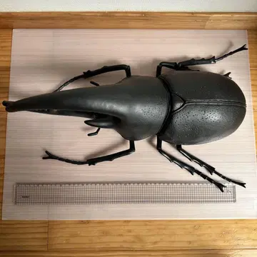 초 BIG 약 50cm 넵튠 오오카부토 피규어 리얼 모델