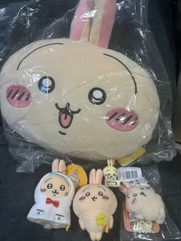 토끼 봉제 인형 세트