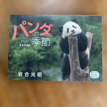 팬더의 계절 엽서북
