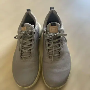 ECCO 골프화 그레이